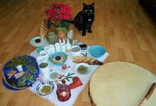 Eine schwarze Katze sitzt mit einer Trommel und Schüsseln voller Futter auf einem Tisch.