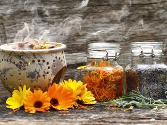 Ein Holztisch mit Töpfen voller Kräuter und Blumen.