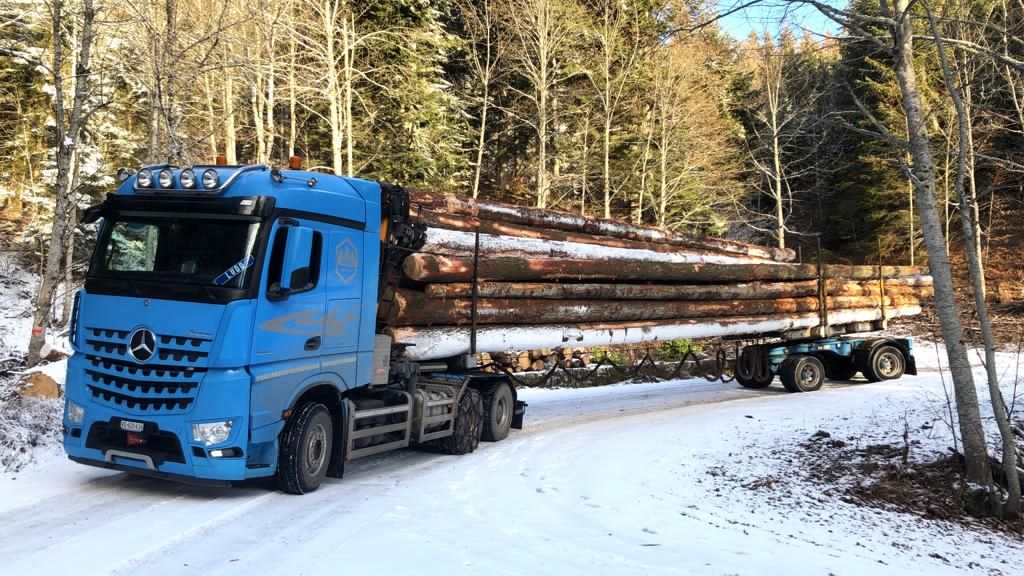 Transport et vente de bois suisse dans le Jura - Jaquet Transport et Commerce de Bois