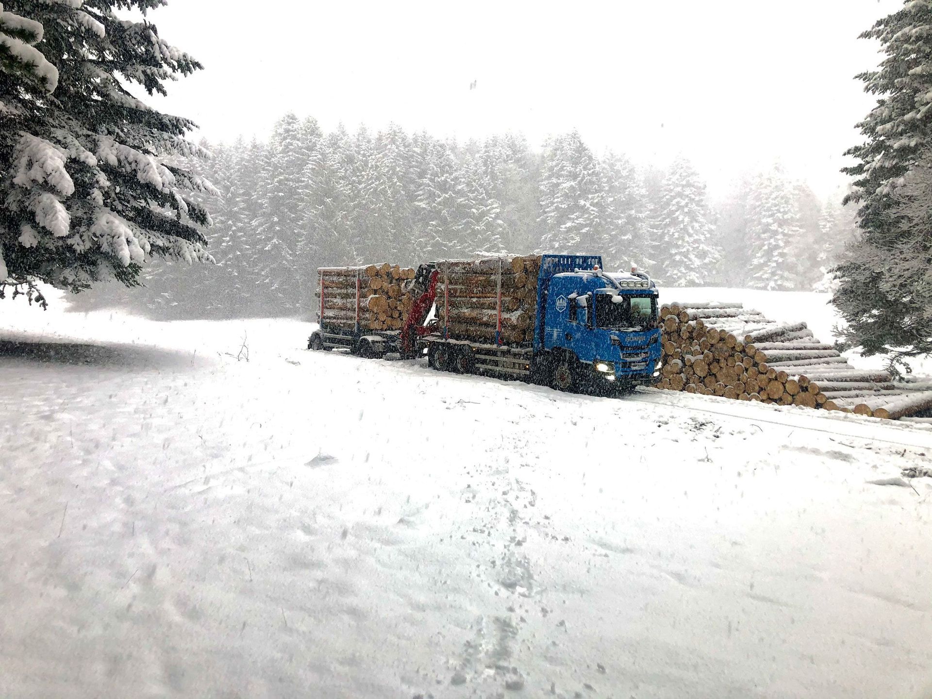 Transport et vente de bois suisse dans le Jura - Jaquet Transport et Commerce de Bois