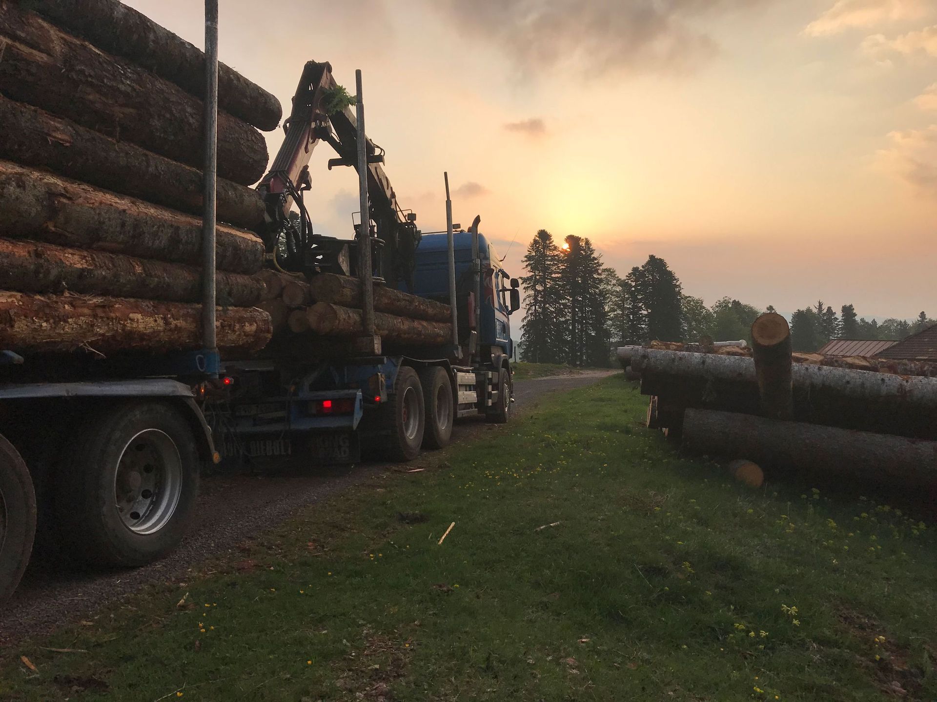 Transport et vente de bois suisse dans le Jura - Jaquet Transport et Commerce de Bois