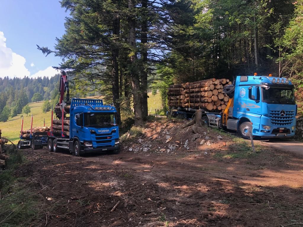 Transport et vente de bois suisse dans le Jura - Jaquet Transport et Commerce de Bois