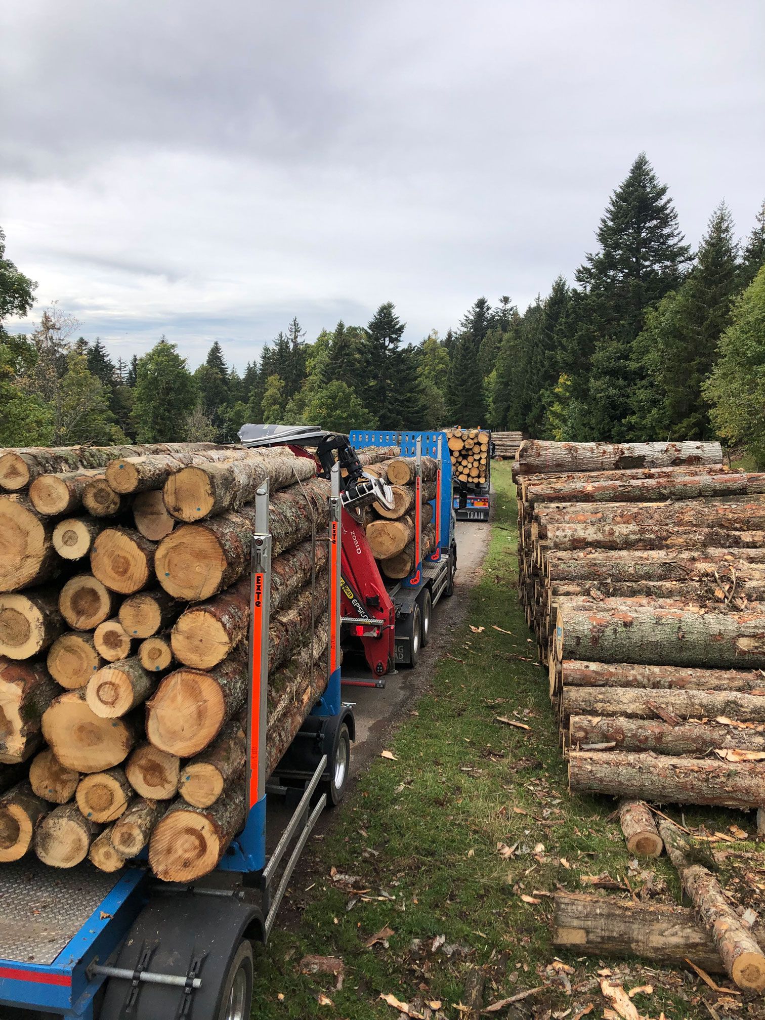 Transport et vente de bois suisse dans le Jura - Jaquet Transport et Commerce de Bois