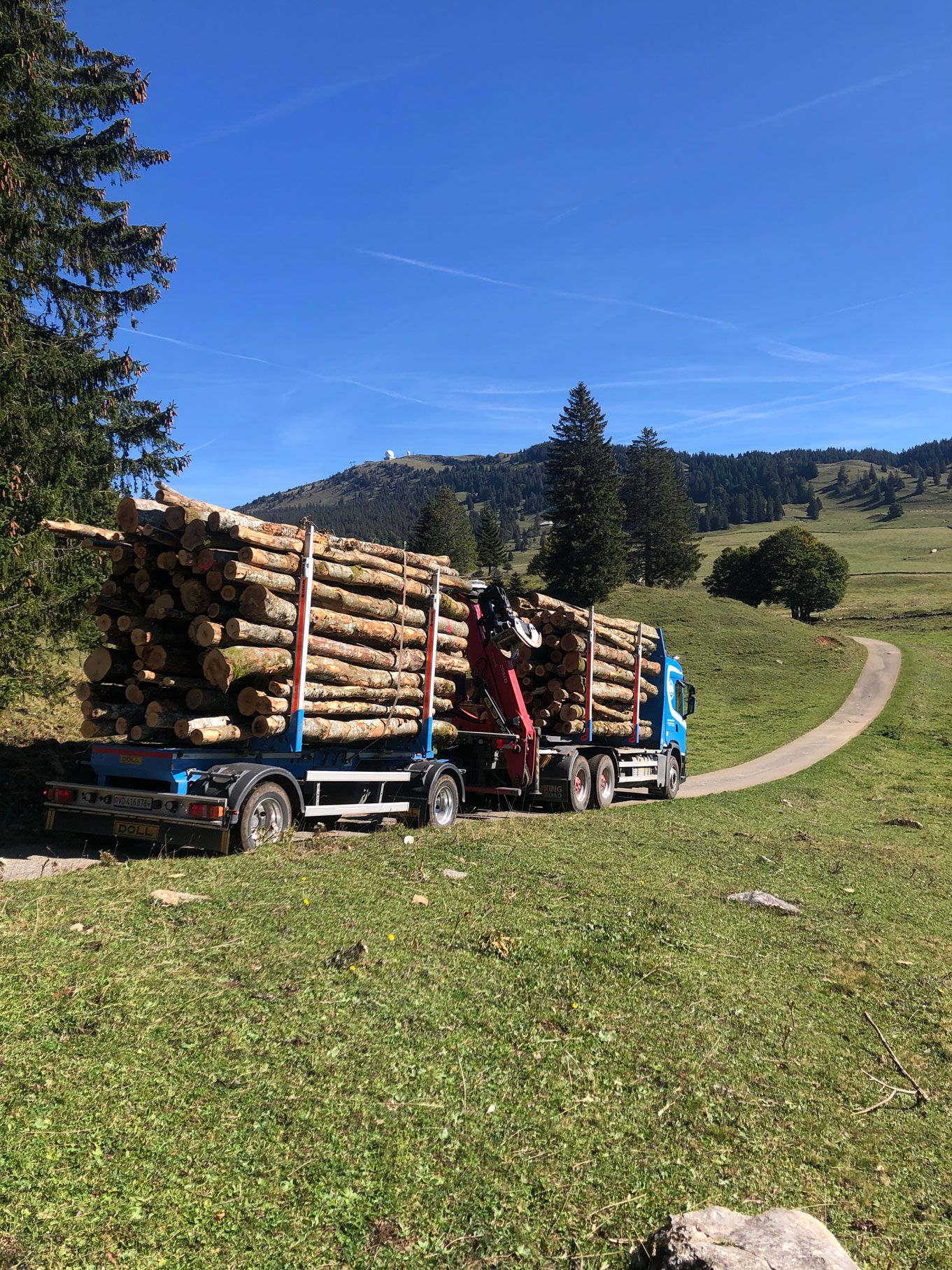 Transport et vente de bois suisse dans le Jura - Jaquet Transport et Commerce de Bois