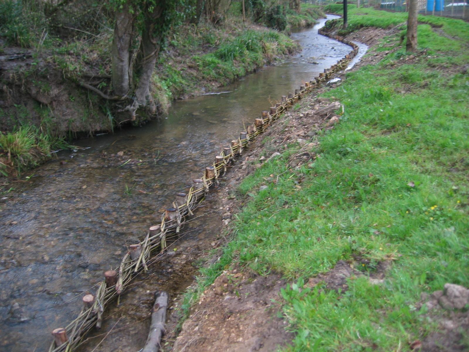 Retenue de berge en tressage de Saules