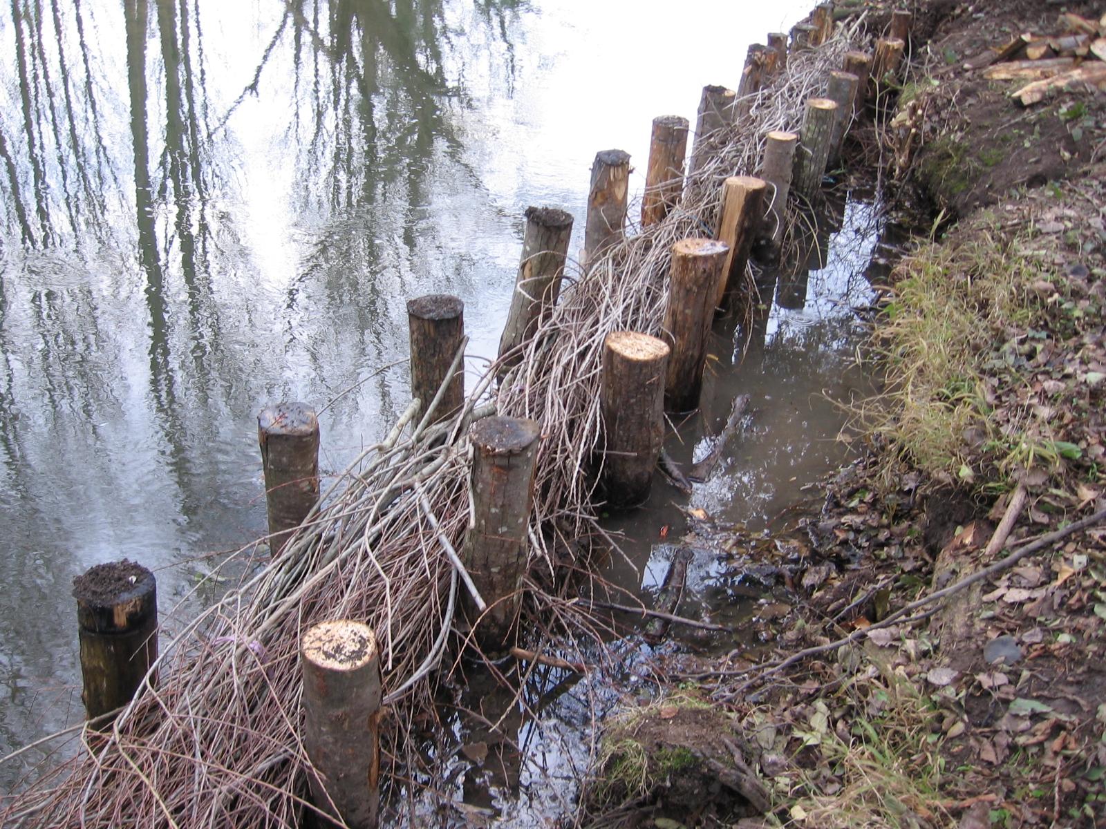 Retenue de berge en fascine de Saules (14)
