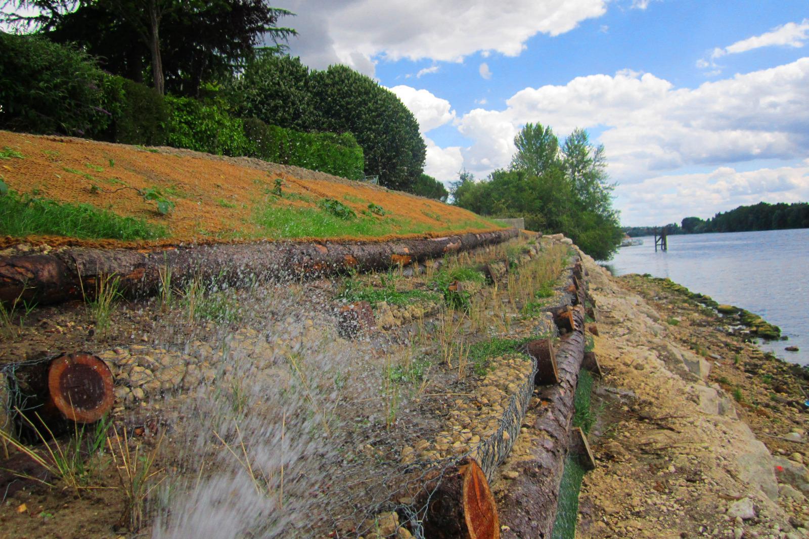 Restauration de berge en caissons végétalisés sur la Seine