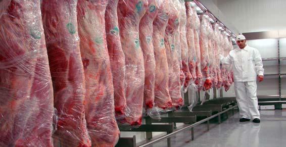 boucherie charcuterie - viande en chambre froide