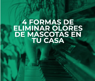 Un gato caminando sobre las teclas del piano. El texto dice: