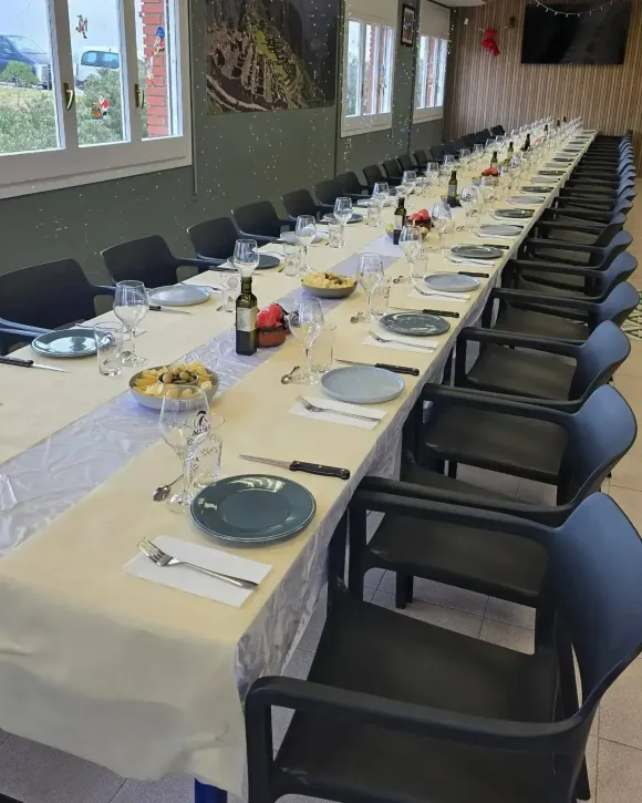 Mesa de comedor larga para comer, con platos, vasos y sillas.