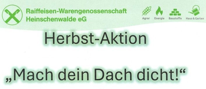 Eine schwarz-weiße Kuh liegt auf einer Wiese.