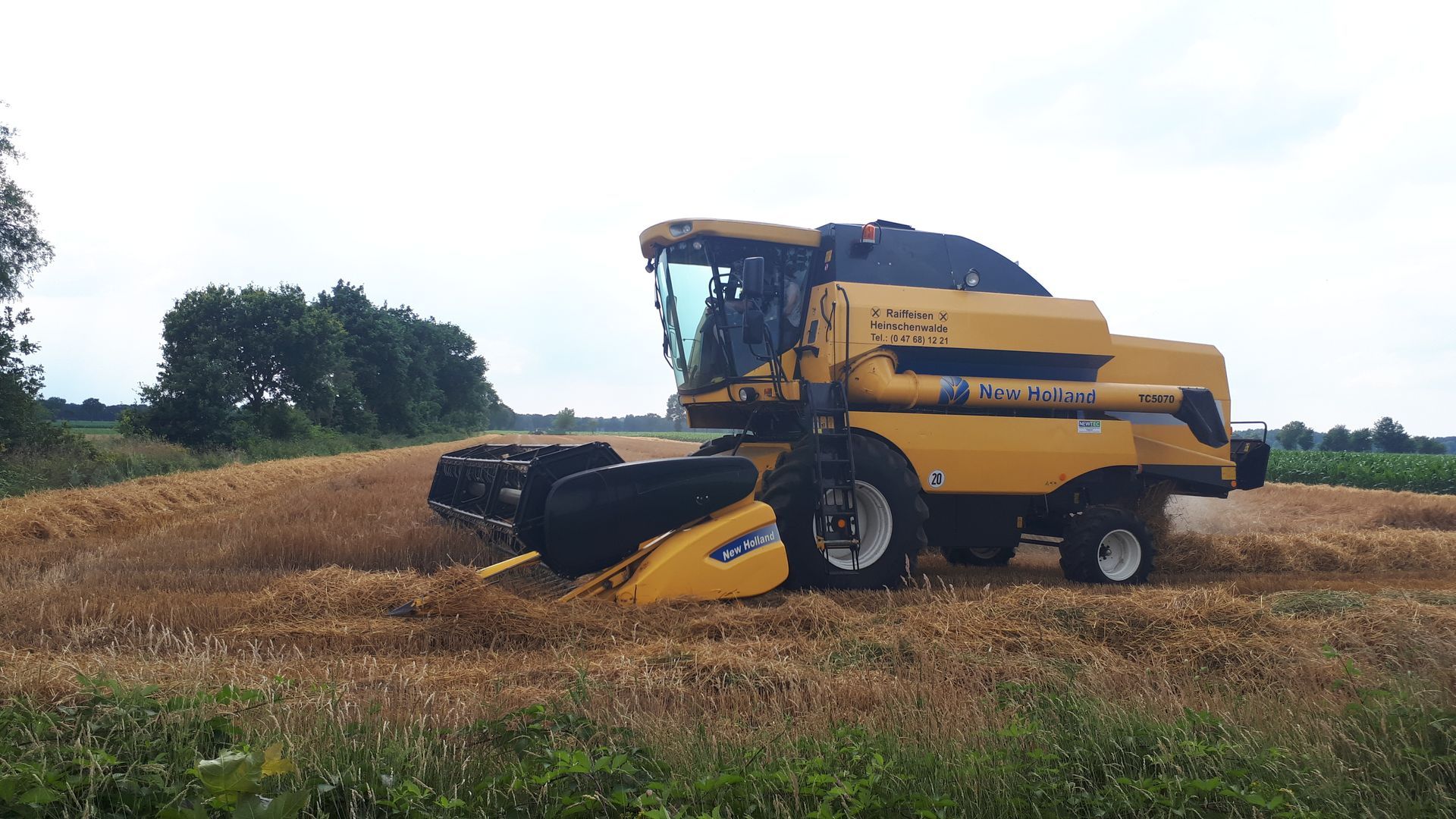 Ein gelber Mähdrescher erntet Weizen auf einem Feld.