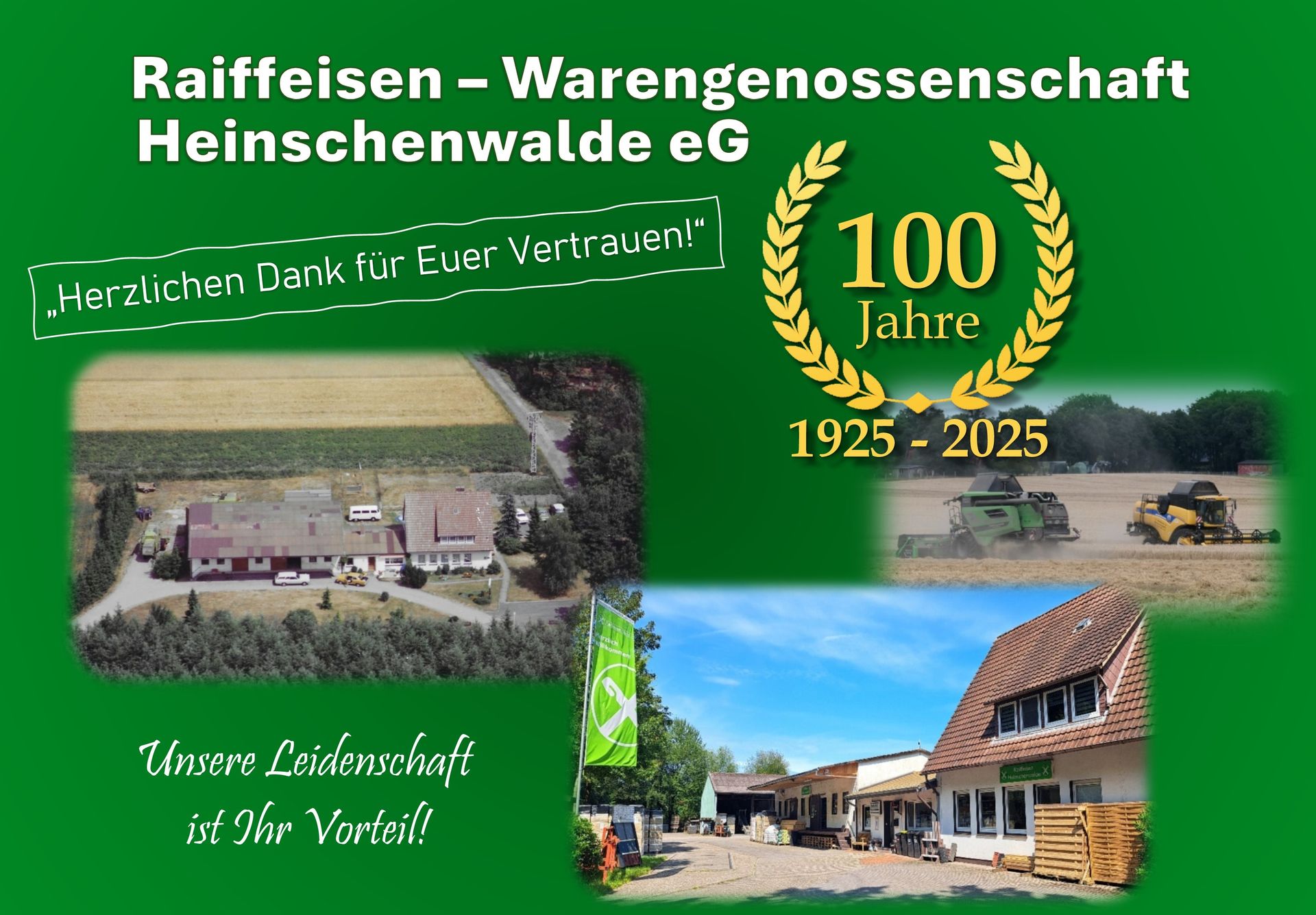 Eine schwarz-weiße Kuh liegt auf einer Wiese.
