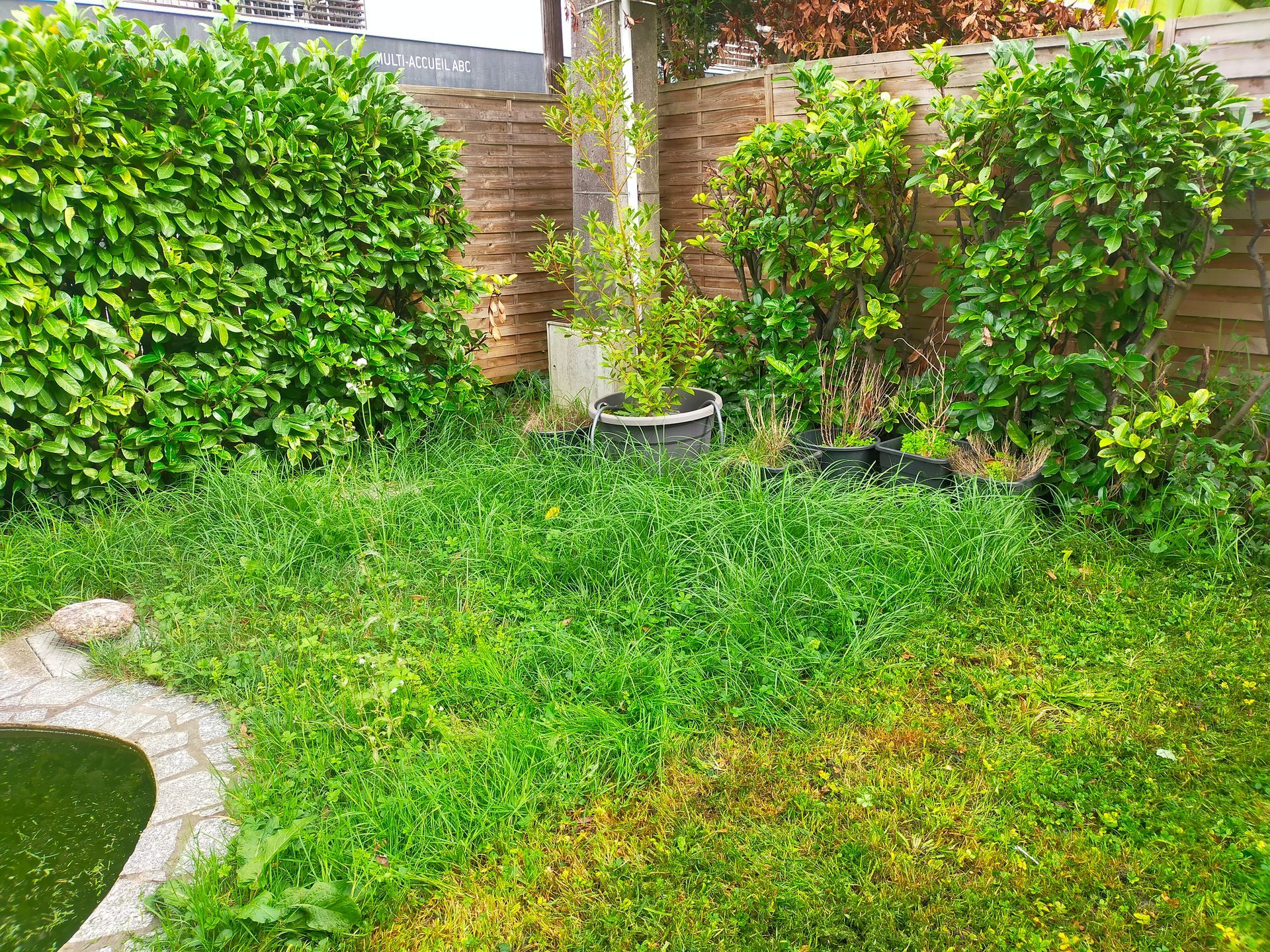 Jardin de particulier