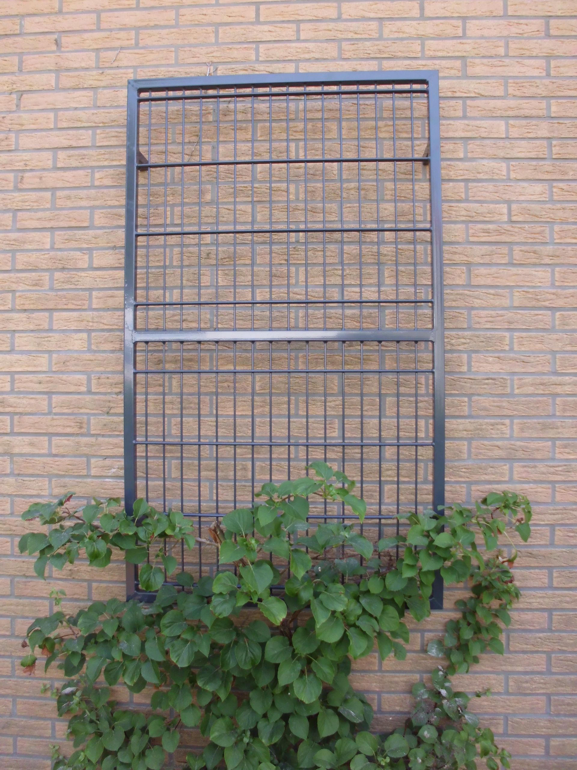 Hinter einem Metallgitter wächst eine Pflanze an einer Ziegelmauer.