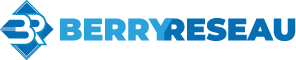 Logo Berry Réseau