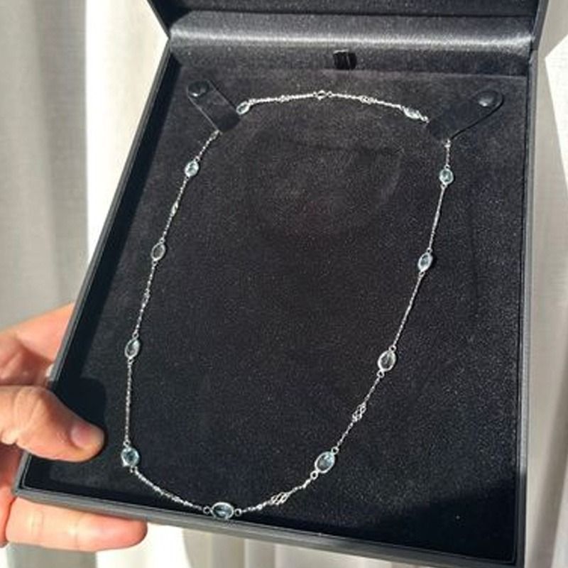 Una persona sostiene un collar en una caja negra.