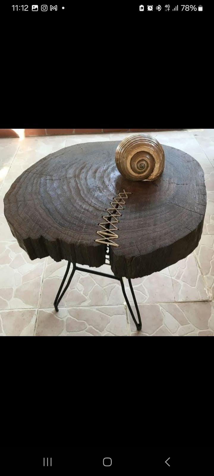 Una mesa auxiliar de madera maciza con borde natural, sobre finas patas de metal negro con una unión decorativa metálica y una concha marina en la parte superior.