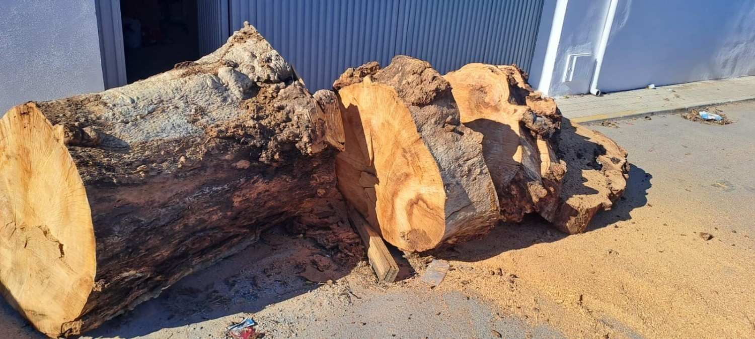 Grandes trozos de troncos de árboles, cortados en bruto y con la veta visible, yacen sobre una superficie pavimentada junto a la pared de un edificio.