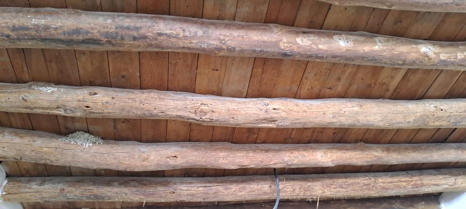 Un techo rústico construido con troncos de madera paralelos y sin tratar que sostienen una capa de tablones de madera.