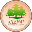 Logotipo circular de XILEMAT TÉCNICOS EN MADERA con la ilustración de un bosque de pinos verdes sobre un fondo color melocotón.