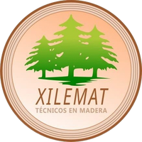 Logotipo circular de XILEMAT TÉCNICOS EN MADERA con la ilustración de un bosque de pinos verdes sobre un fondo color melocotón.