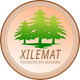 Logotipo circular con pinos verdes y el texto “XILEMAT Técnicos en Madera” sobre un fondo beige.