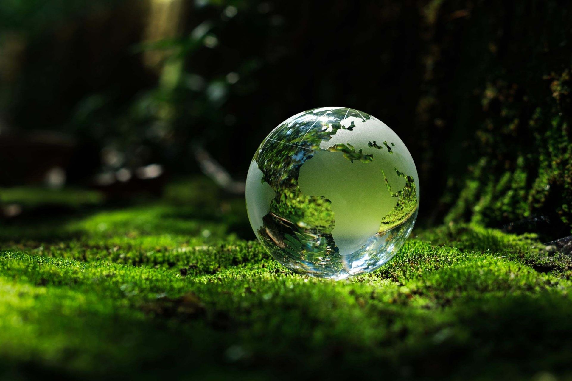 Un globo de cristal se encuentra encima de un campo cubierto de musgo.