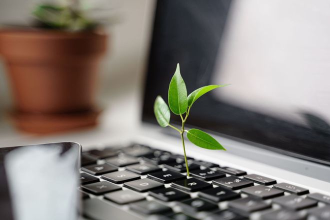 Una pequeña planta está creciendo desde el teclado de una computadora portátil.