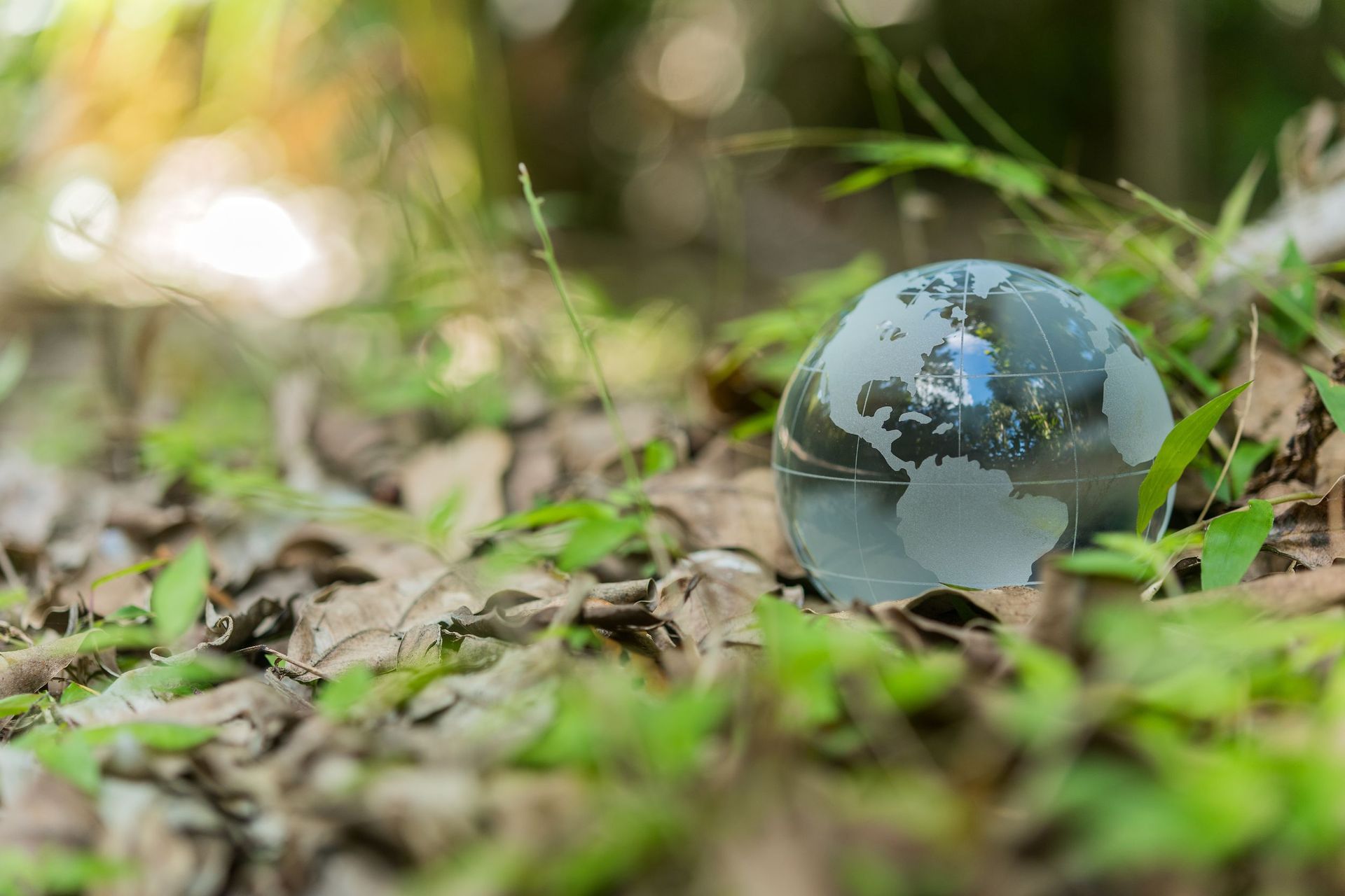 Un globo de cristal está sobre el suelo, en la hierba.