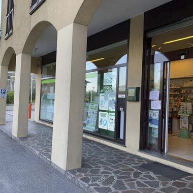 Primo piano delle fronde verdi della palma che si irradiano verso l'esterno, con luci e ombre che mettono in risalto la trama a coste.