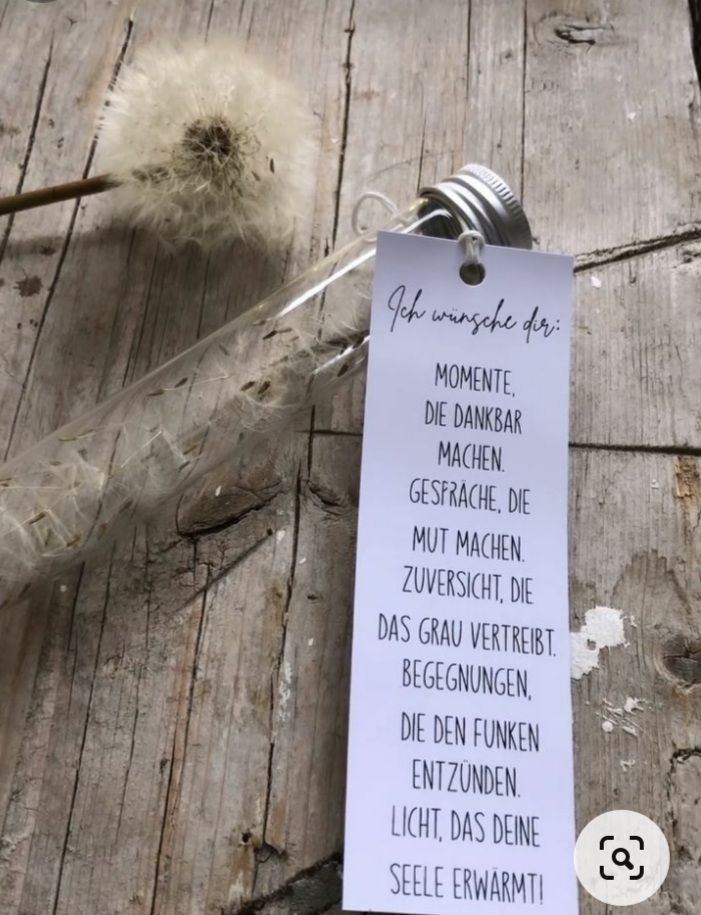 Bestattung in einer Urne mit einem Foto und als Thema ein aufgebauter Wald mit Tannen und Blumen