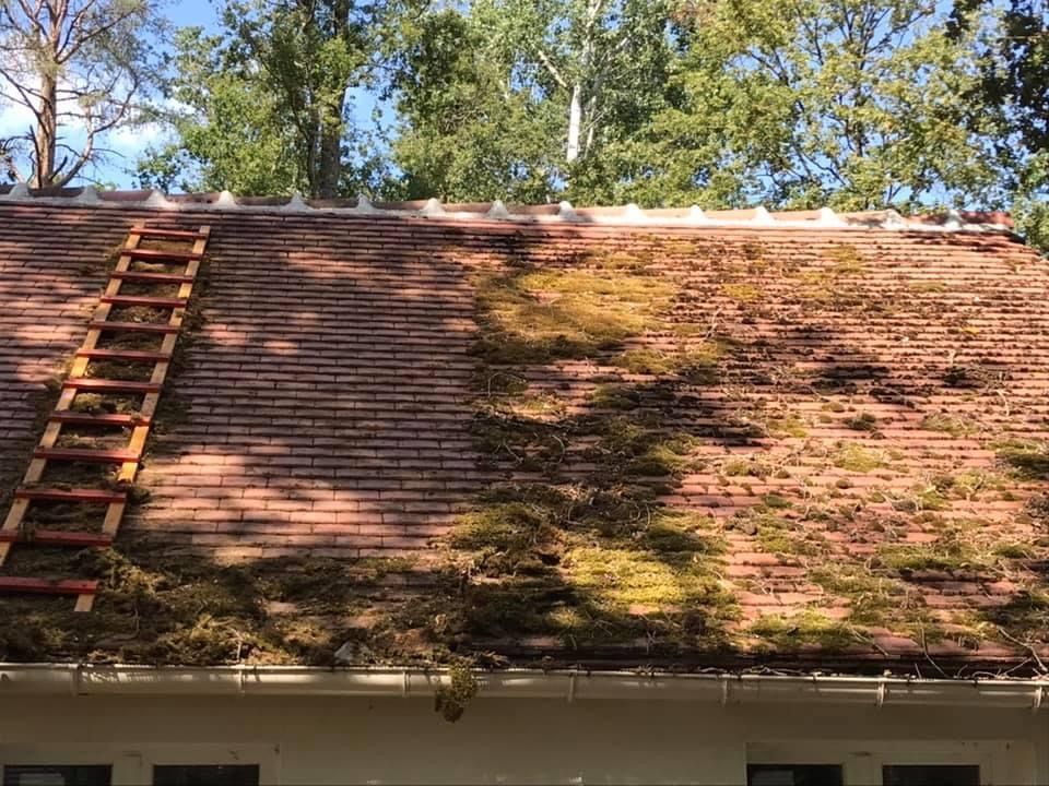 Nettoyage de toiture - avant