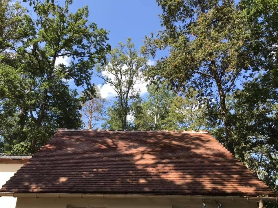 Nettoyage de toiture - après