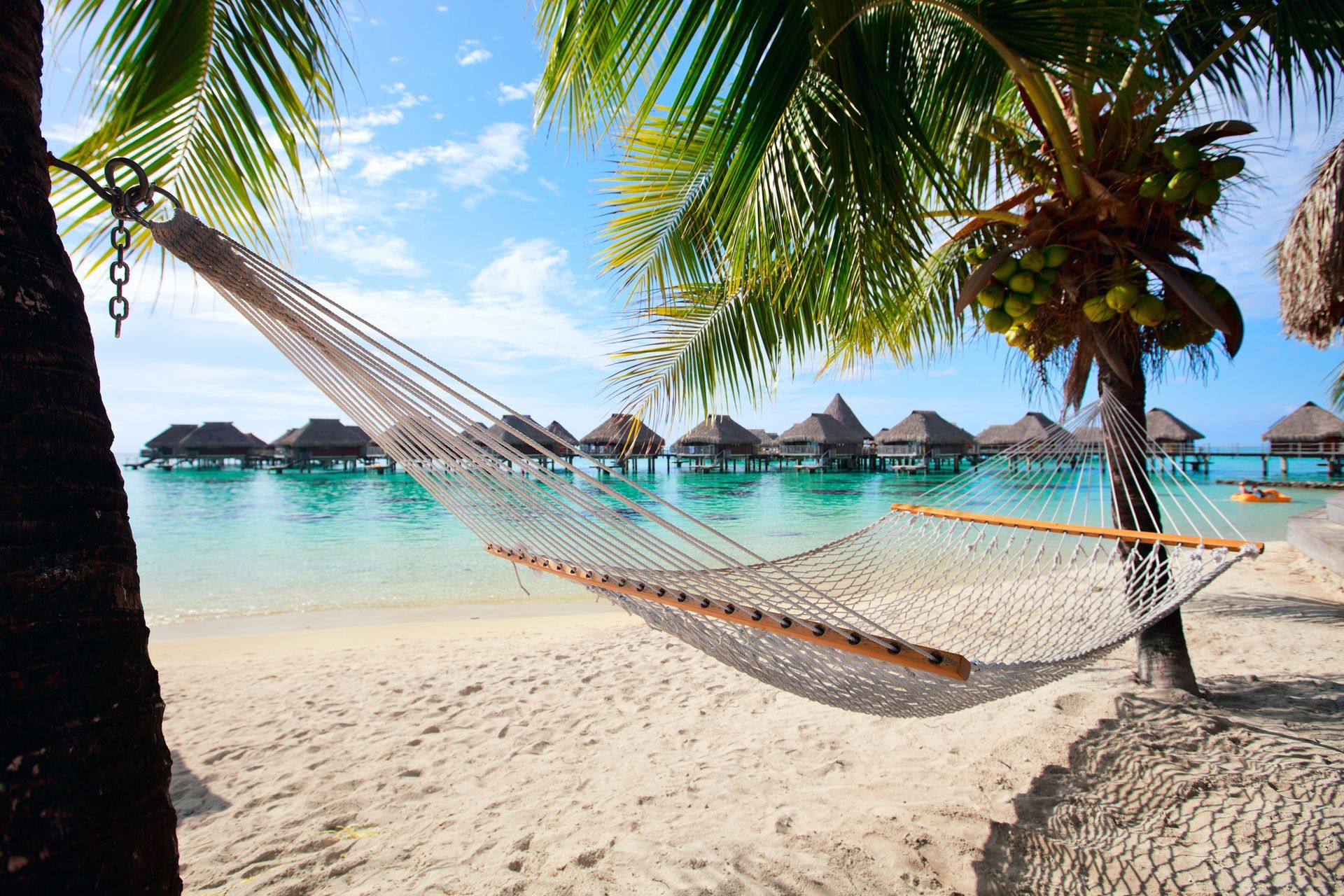 A hammock is hanging from a palm tree on a beach.