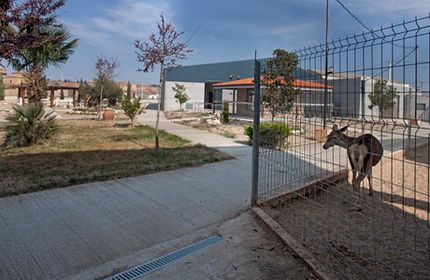 Un burro está parado frente a una valla en un parque.