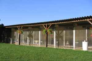 Pension pour chiens et chats : box individuels