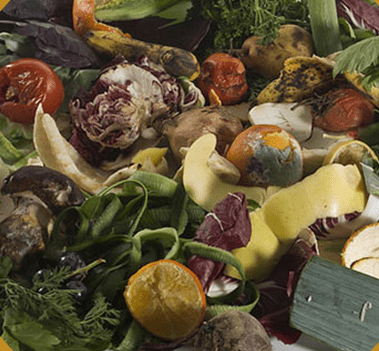 Collecte de fruits et légumes