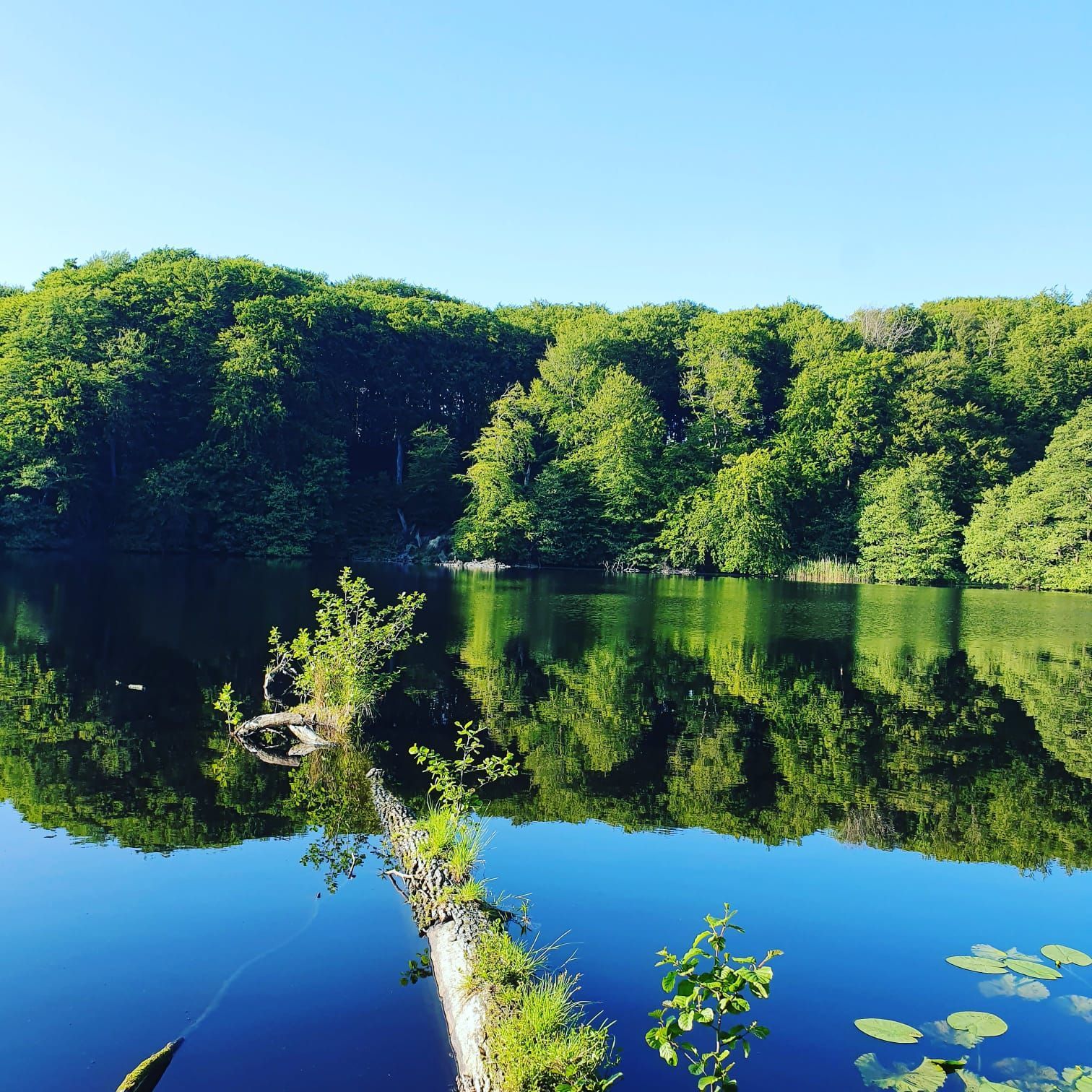 Herthasee mit umliegendem Nationalpark