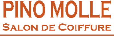 Salon de Coiffure Molle Logo