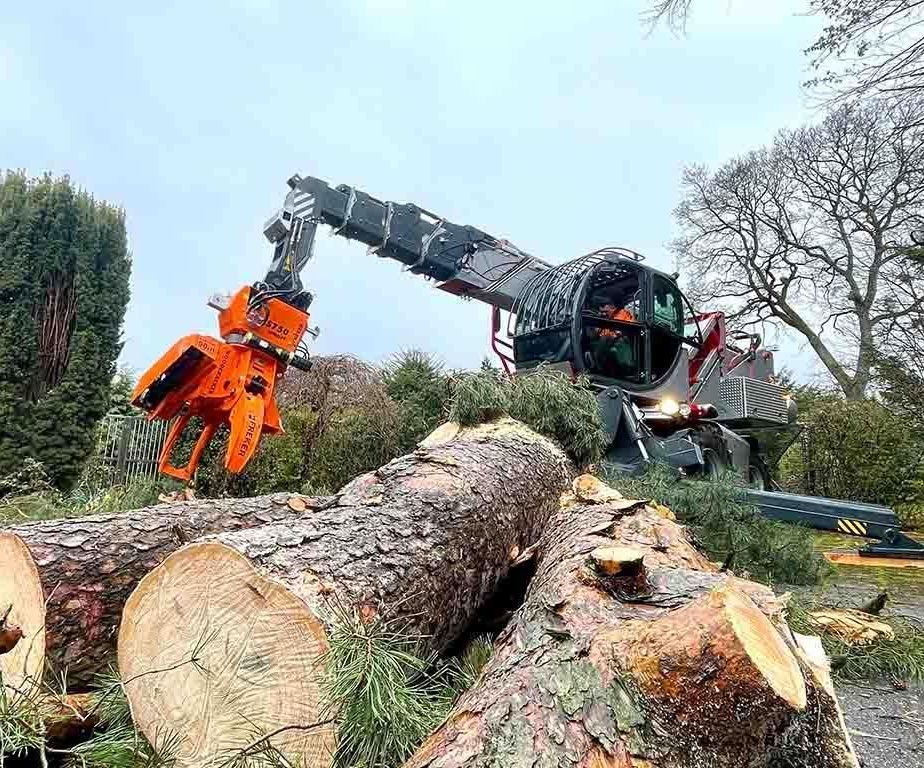 Ein Kran hebt in einem Wald einen Stapel Baumstämme an.
