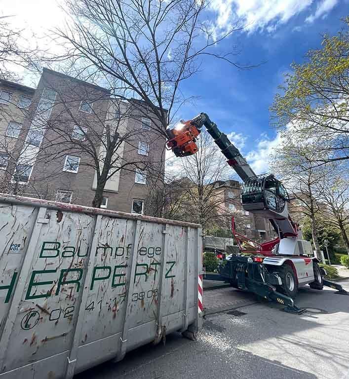 Ein Kran hebt einen Baum aus einem Müllcontainer.