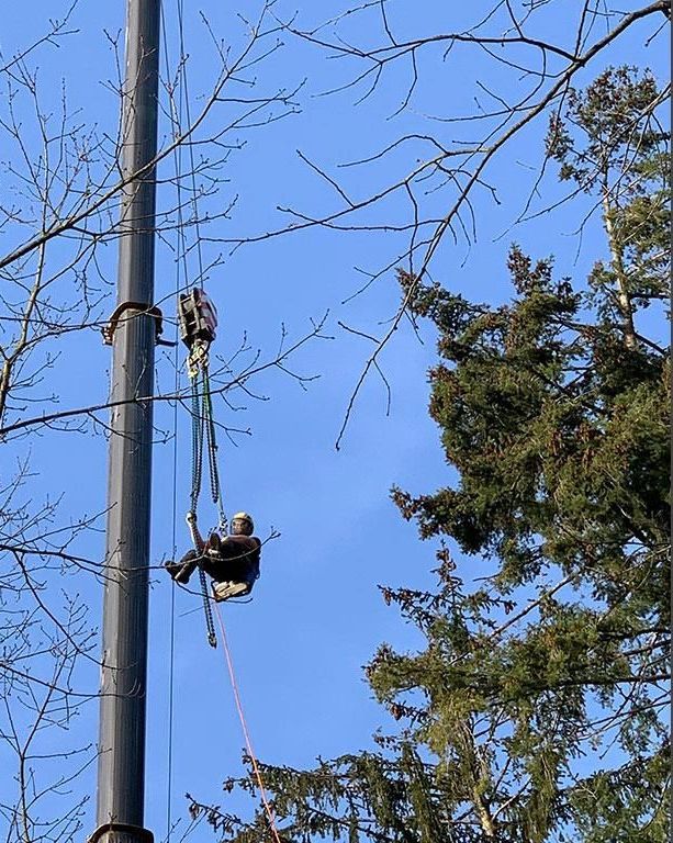 Ein Mann klettert im Wald auf einen Mast.