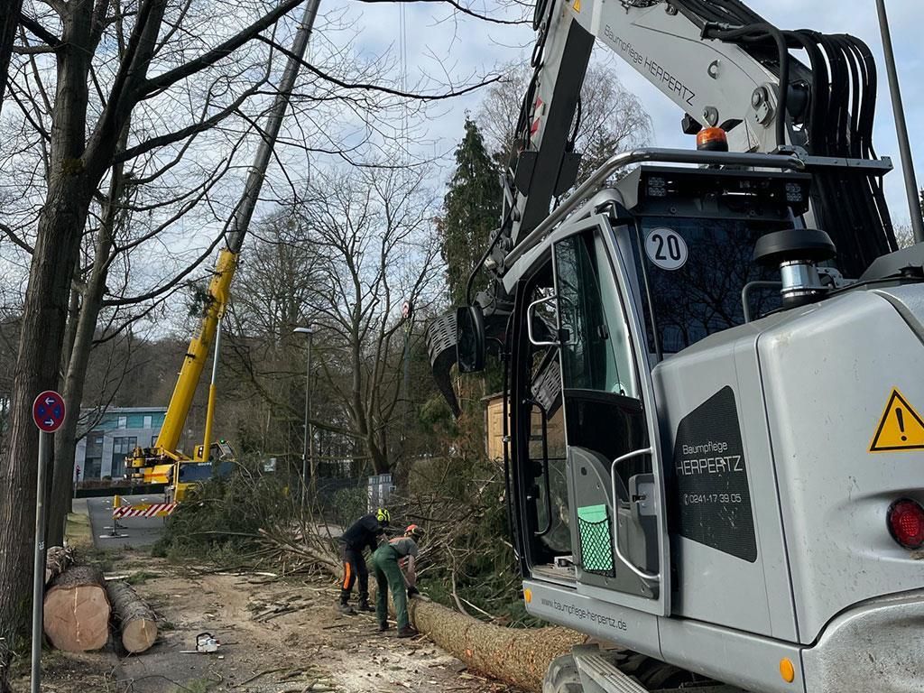 Mit einem großen Bagger wird ein Baum entfernt.