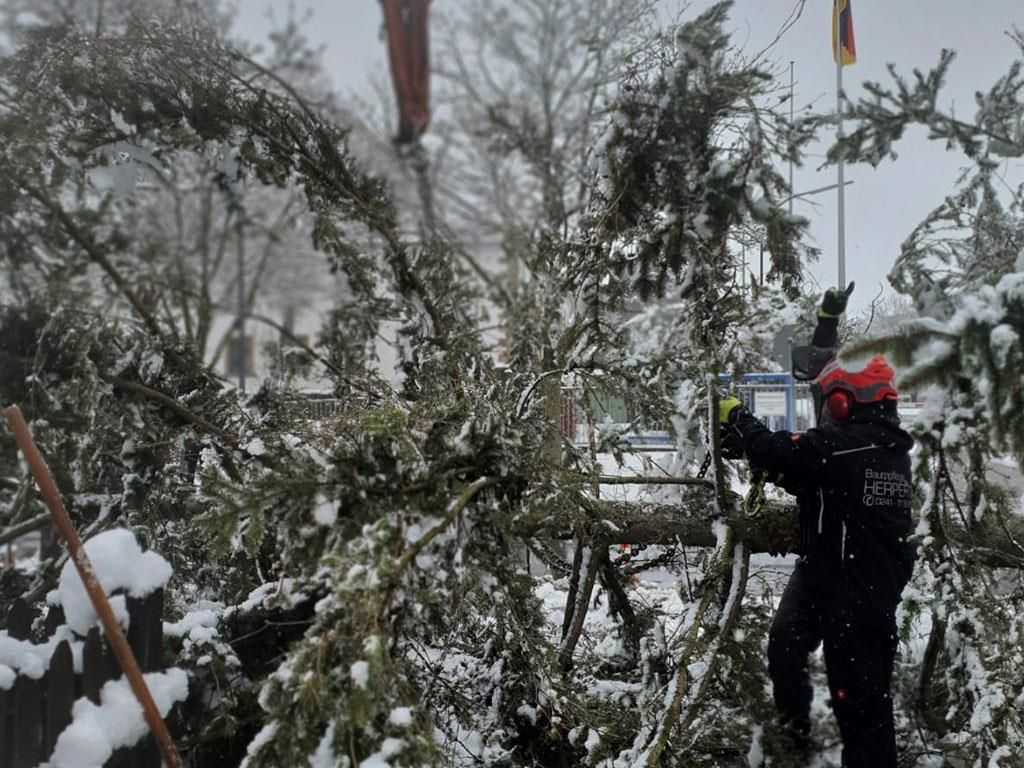 Ein Mann fällt im Schnee einen umgestürzten Baum.