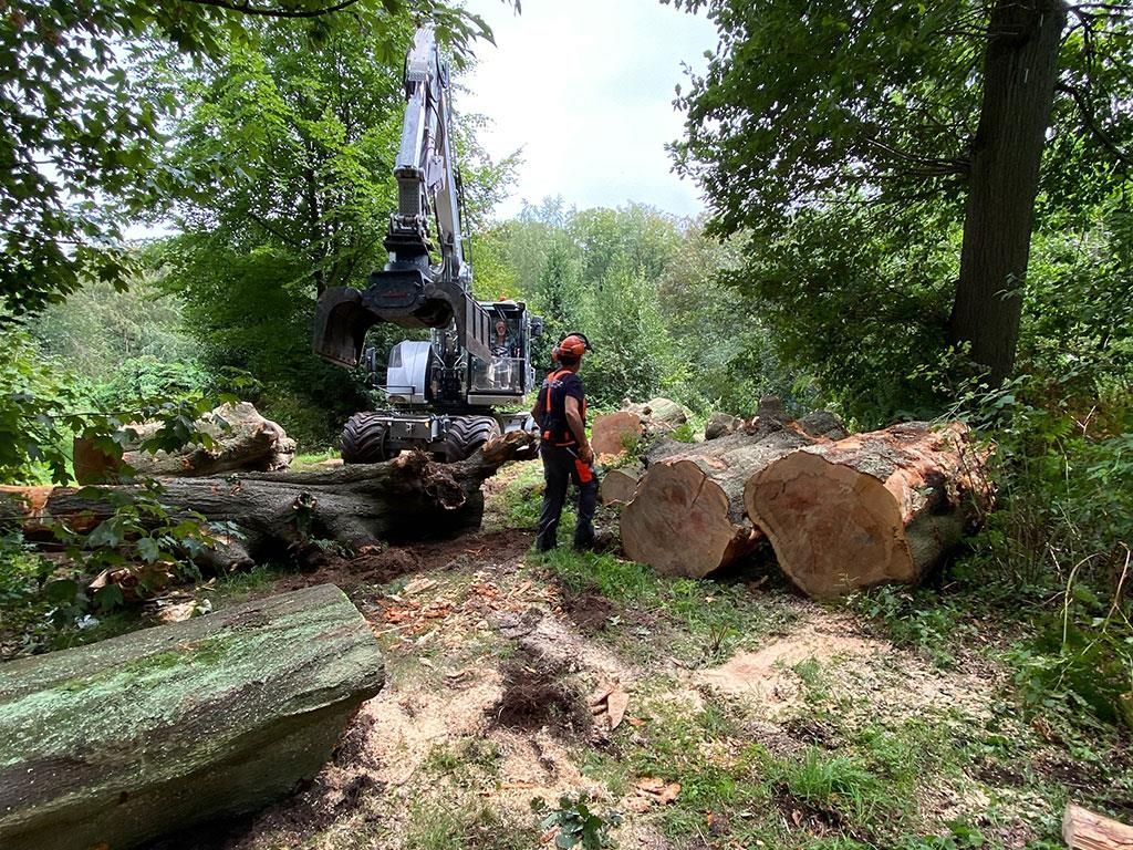Ein Mann steht neben einem Stapel Baumstämme im Wald.
