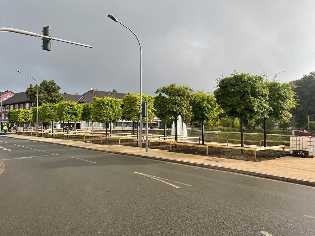 Eine Straße mit Bäumen und Bänken am Straßenrand.