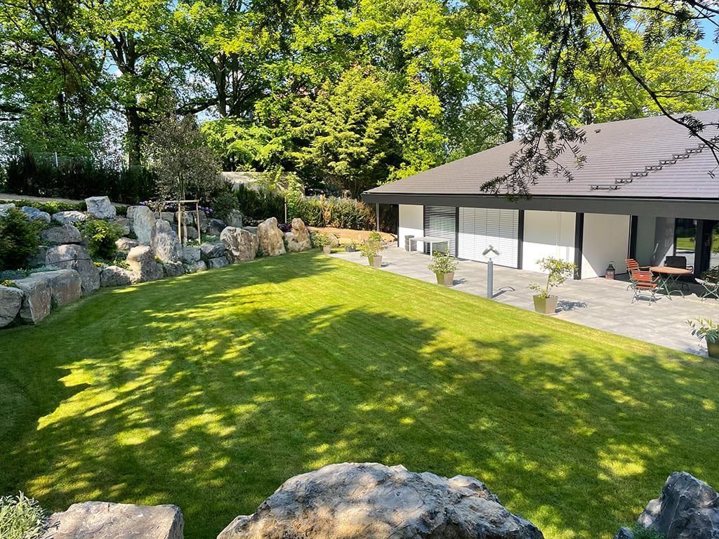 Eine große Wiese mit einem Haus im Hintergrund und Bäumen im Hintergrund.