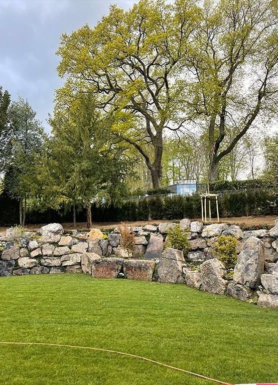 Eine große Felsmauer umgibt ein üppiges grünes Feld mit Bäumen im Hintergrund.