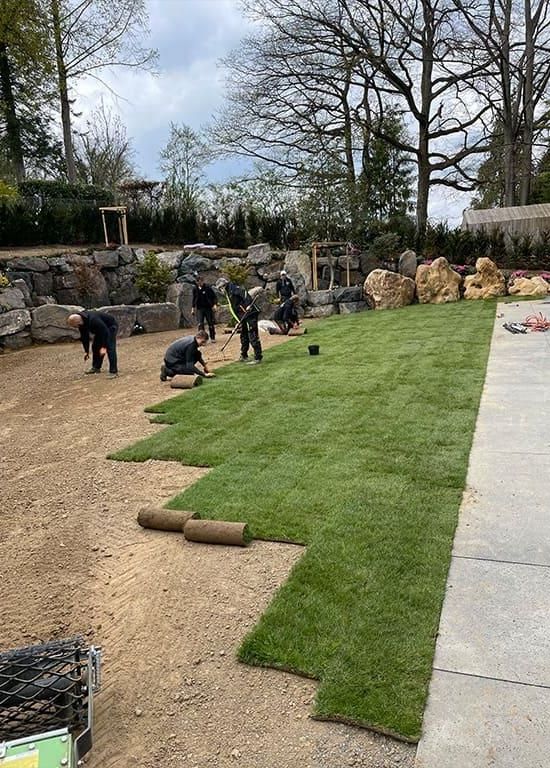 Eine Gruppe von Menschen arbeitet auf einem üppigen grünen Rasen.